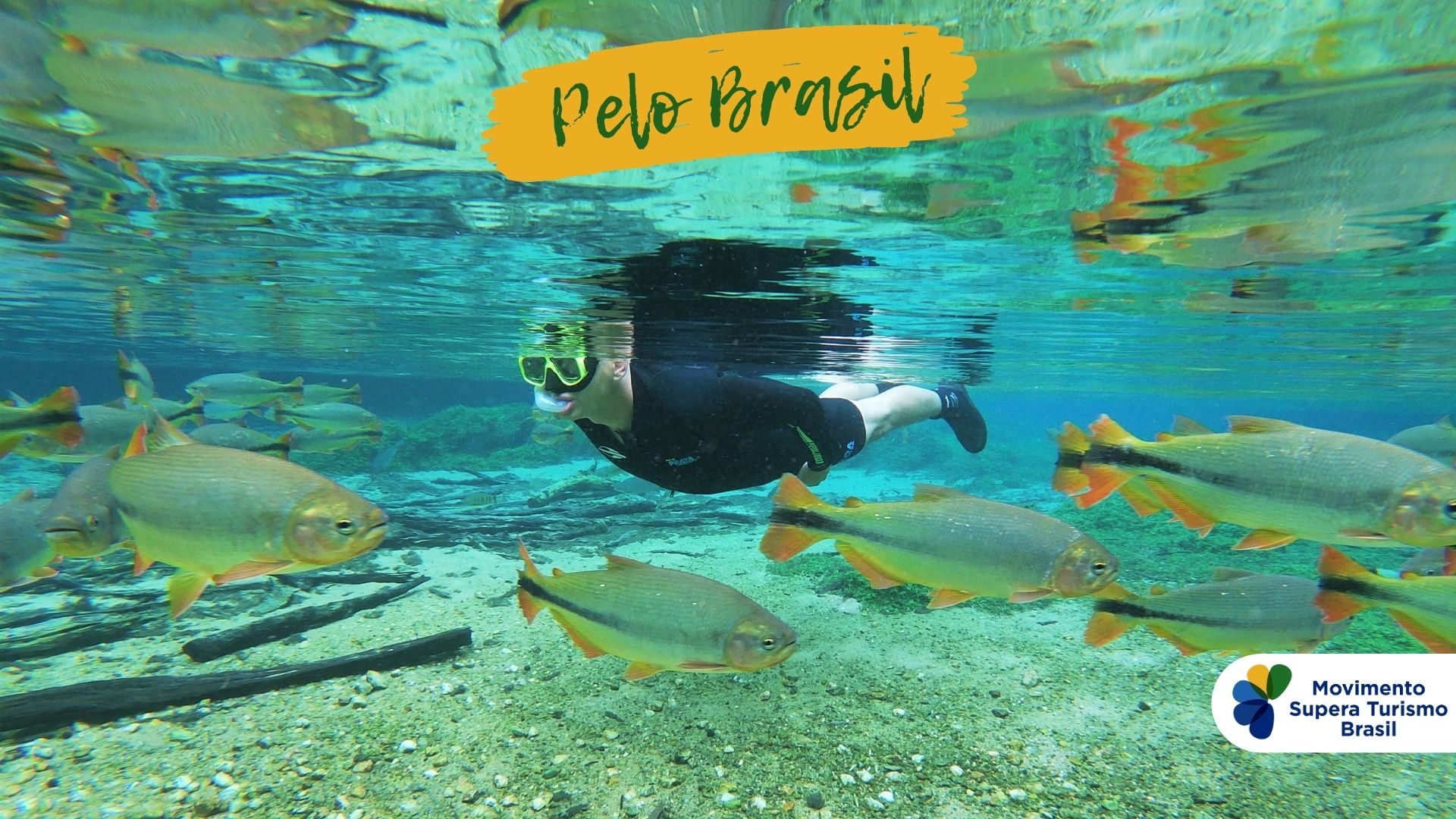 Read more about the article Movimento Supera Turismo: Webinar focaliza tendências e desafios para o setor